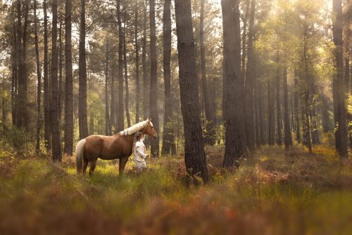 Cheval palomino en liberté avec sa propriétaire dans une forêt